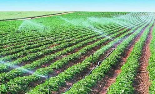 美女性爱小穴视频农田高 效节水灌溉